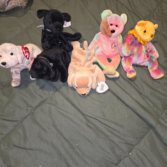 Collection of Beanie Babie - Picture 4 of 16